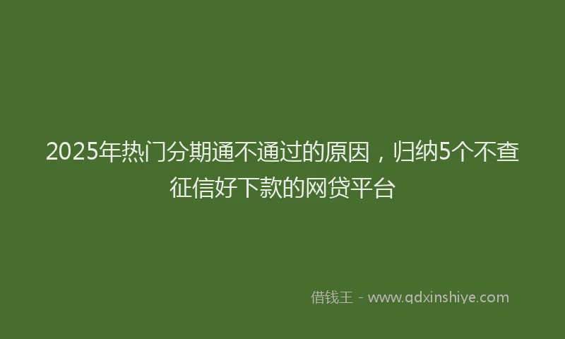 2025年热门分期通不通过的原因，归纳5个不查征信好下款的网贷平台