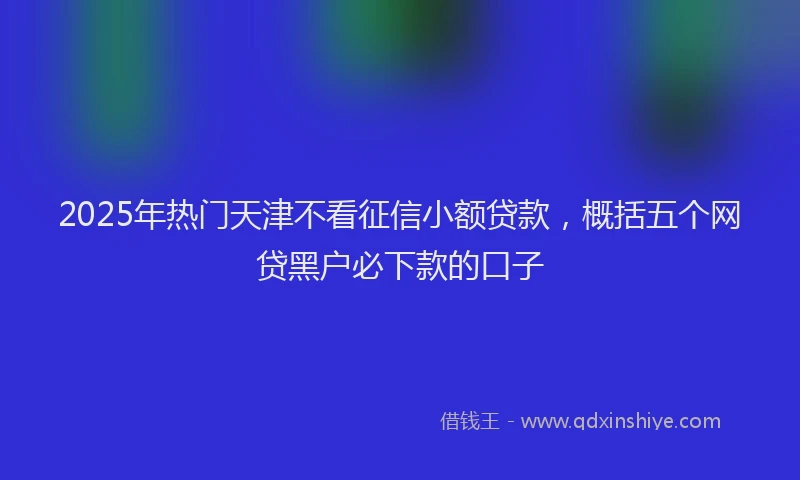 2025年热门天津不看征信小额贷款，概括五个网贷黑户必下款的口子