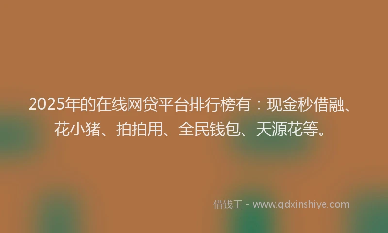 2025年的在线网贷平台排行榜有：现金秒借融、花小猪、拍拍用、全民钱包、天源花等。