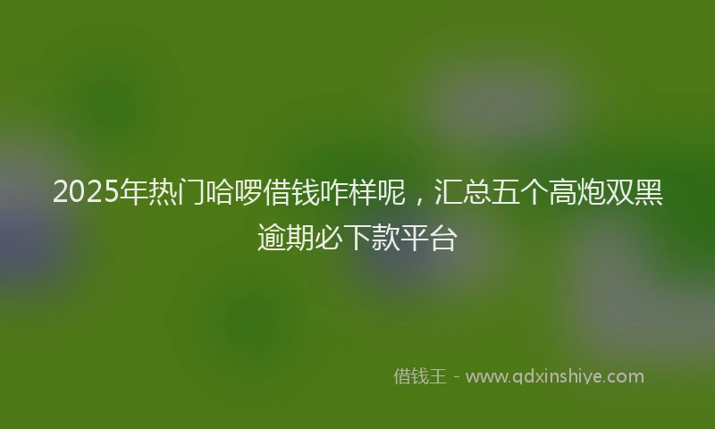 2025年热门哈啰借钱咋样呢，汇总五个高炮双黑逾期必下款平台