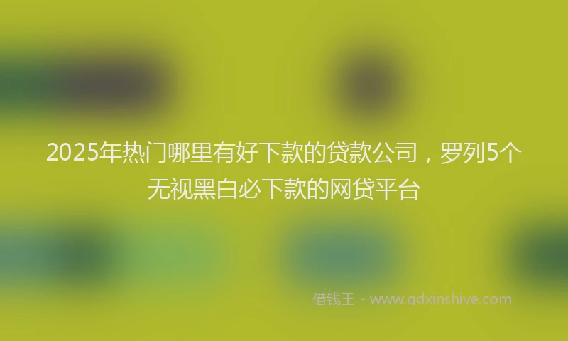 2025年热门哪里有好下款的贷款公司，罗列5个无视黑白必下款的网贷平台