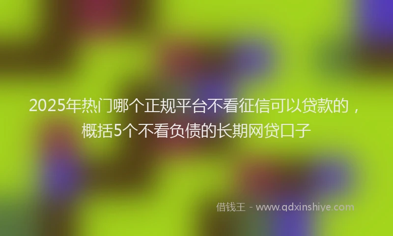 2025年热门哪个正规平台不看征信可以贷款的，概括5个不看负债的长期网贷口子