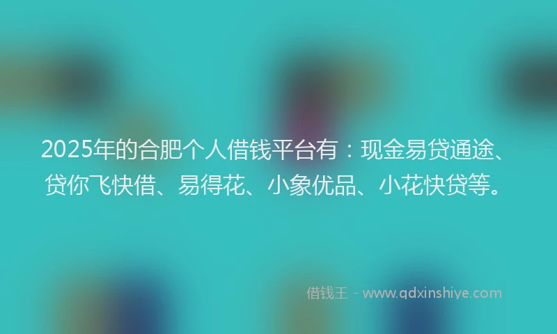 2025年的合肥个人借钱平台有：现金易贷通途、贷你飞快借、易得花、小象优品、小花快贷等。