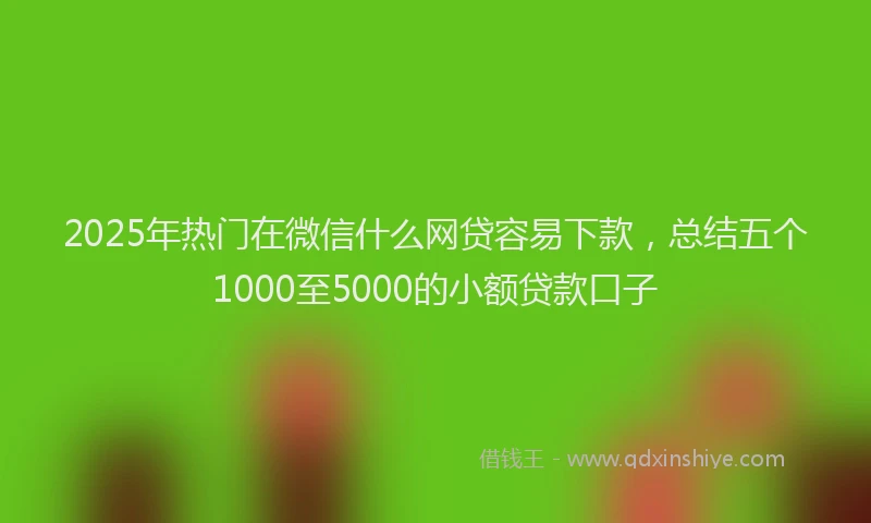 2025年热门在微信什么网贷容易下款，总结五个1000至5000的小额贷款口子