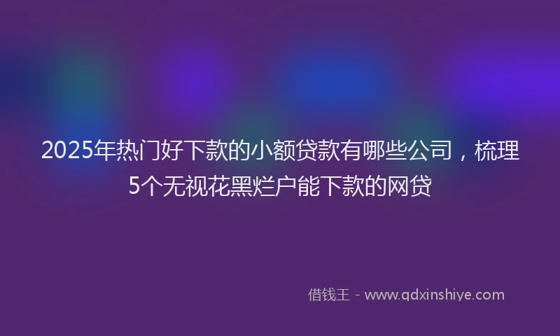 2025年热门好下款的小额贷款有哪些公司，梳理5个无视花黑烂户能下款的网贷