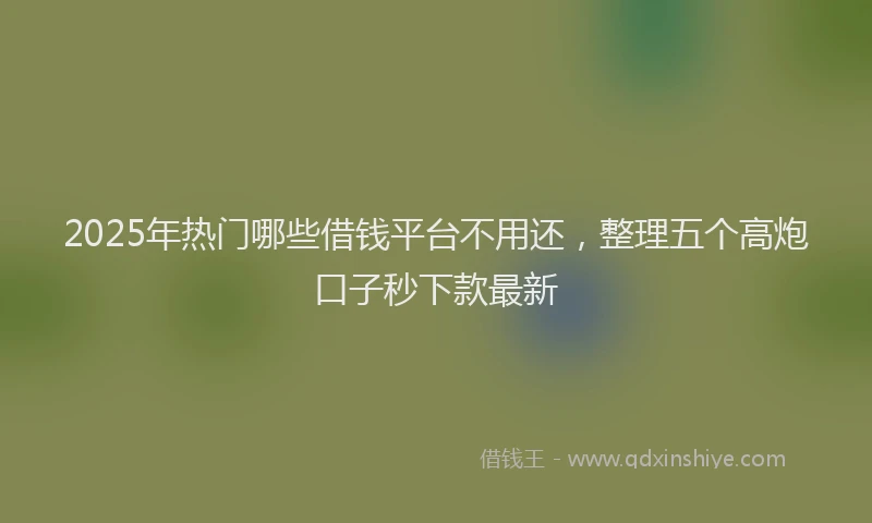 2025年热门哪些借钱平台不用还，整理五个高炮口子秒下款最新