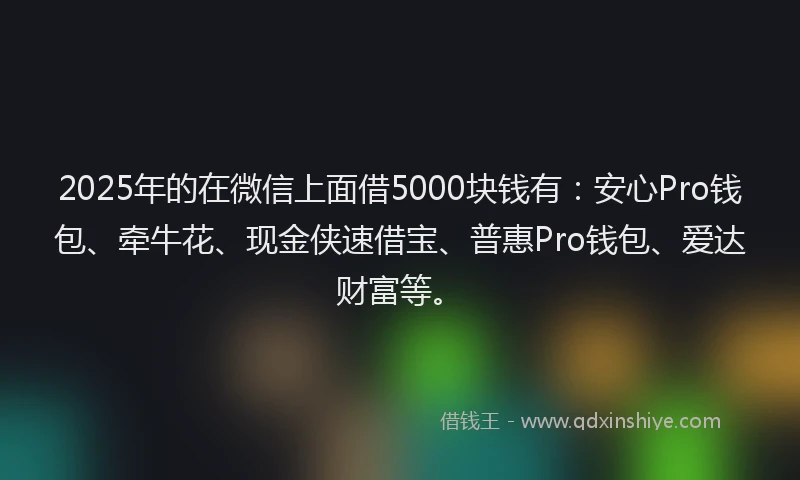 2025年的在微信上面借5000块钱有：安心Pro钱包、牵牛花、现金侠速借宝、普惠Pro钱包、爱达财富等。