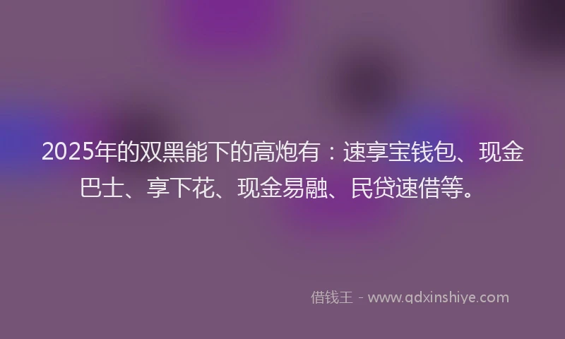 2025年的双黑能下的高炮有：速享宝钱包、现金巴士、享下花、现金易融、民贷速借等。