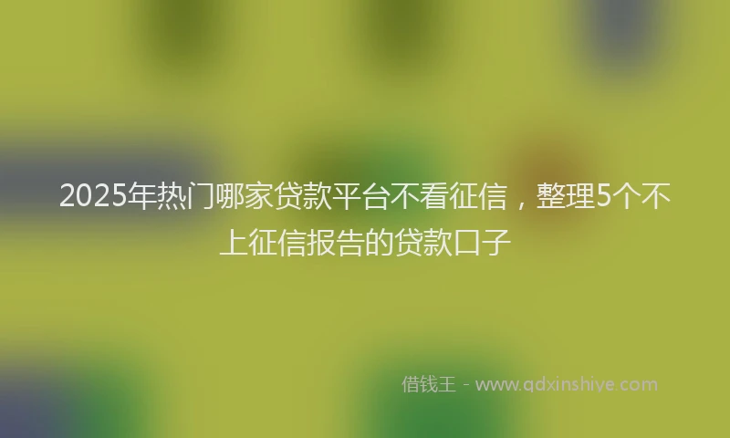 2025年热门哪家贷款平台不看征信，整理5个不上征信报告的贷款口子