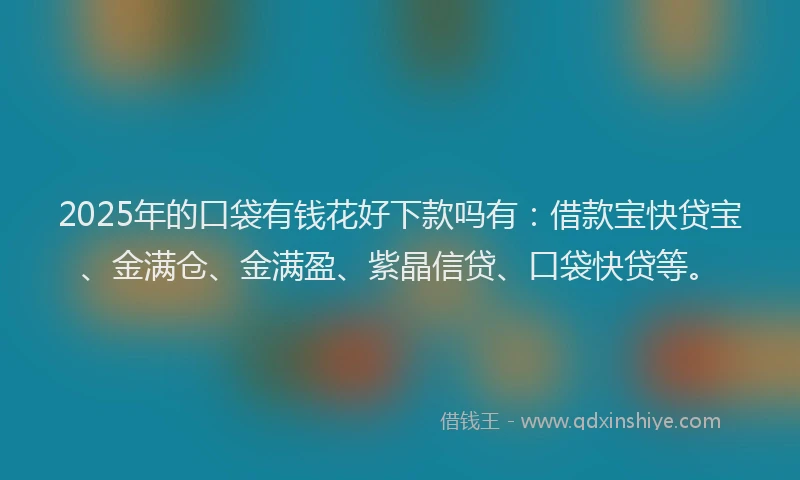 2025年的口袋有钱花好下款吗有：借款宝快贷宝、金满仓、金满盈、紫晶信贷、口袋快贷等。