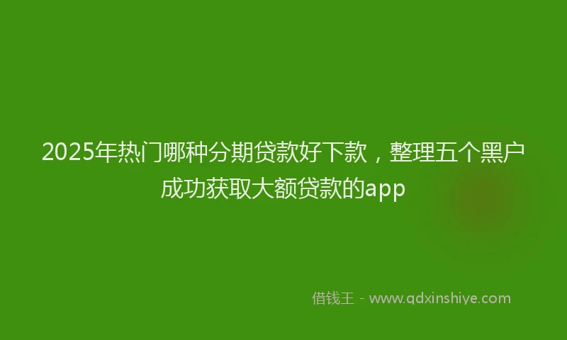 2025年热门哪种分期贷款好下款，整理五个黑户成功获取大额贷款的app