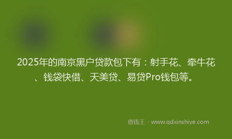 2025年的南京黑户贷款包下有：射手花、牵牛花、钱袋快借、天美贷、易贷Pro钱包等。