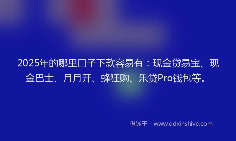 2025年的哪里口子下款容易有：现金贷易宝、现金巴士、月月开、蜂狂购、乐贷Pro钱包等。