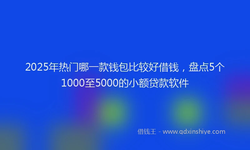 2025年热门哪一款钱包比较好借钱，盘点5个1000至5000的小额贷款软件