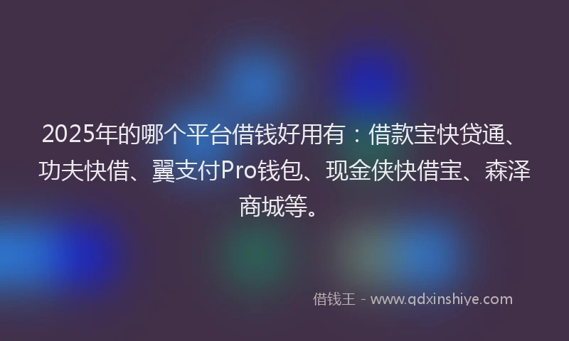 2025年的哪个平台借钱好用有：借款宝快贷通、功夫快借、翼支付Pro钱包、现金侠快借宝、森泽商城等。