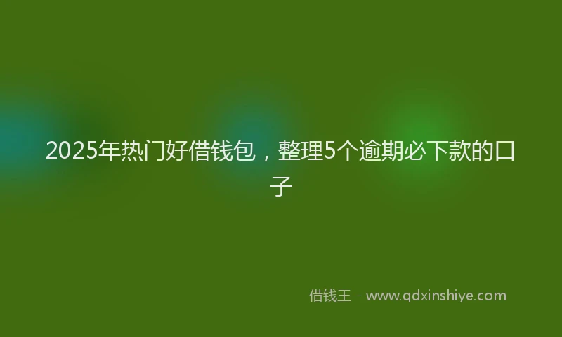 2025年热门好借钱包，整理5个逾期必下款的口子