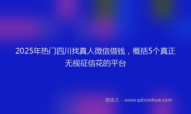 2025年热门四川找真人微信借钱，概括5个真正无视征信花的平台