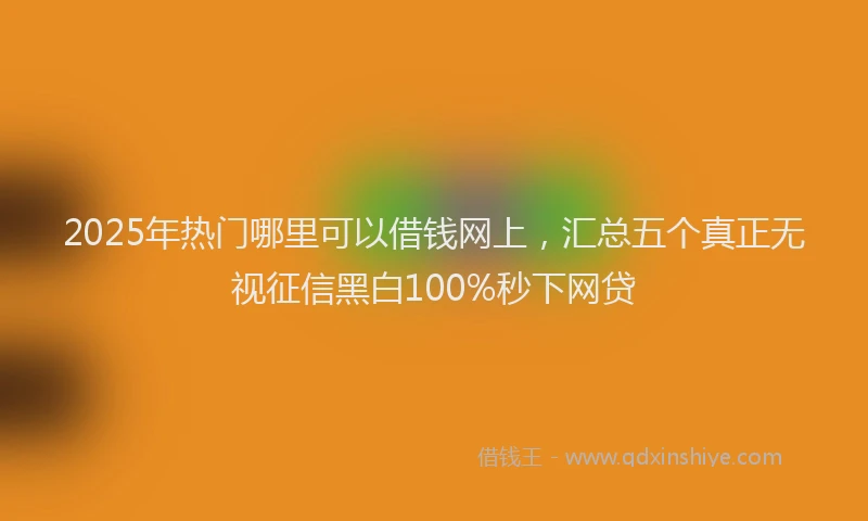 2025年热门哪里可以借钱网上，汇总五个真正无视征信黑白100%秒下网贷