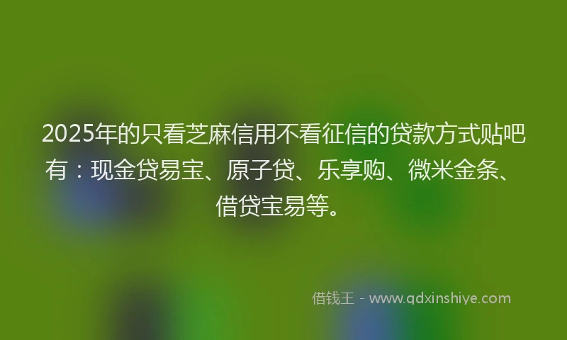 2025年的只看芝麻信用不看征信的贷款方式贴吧有：现金贷易宝、原子贷、乐享购、微米金条、借贷宝易等。