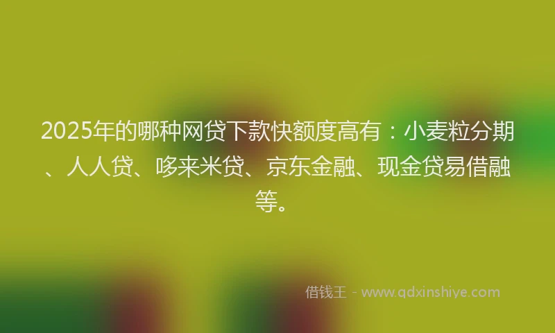 2025年的哪种网贷下款快额度高有：小麦粒分期、人人贷、哆来米贷、京东金融、现金贷易借融等。