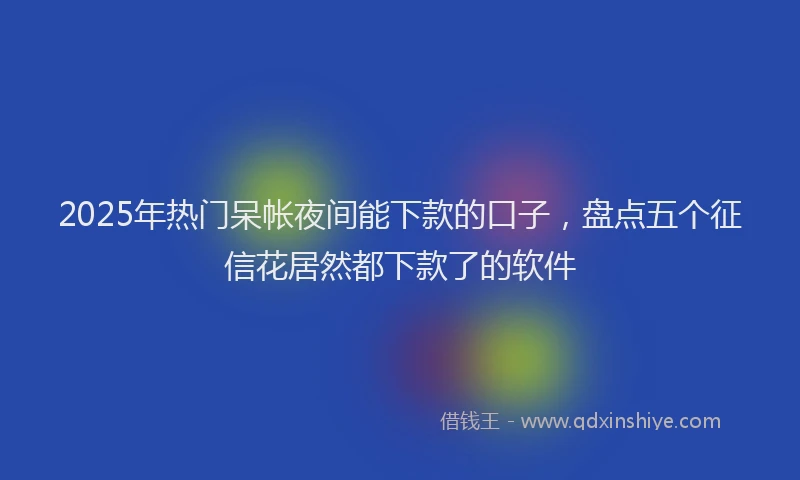 2025年热门呆帐夜间能下款的口子，盘点五个征信花居然都下款了的软件