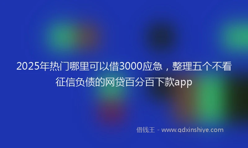 2025年热门哪里可以借3000应急，整理五个不看征信负债的网贷百分百下款app