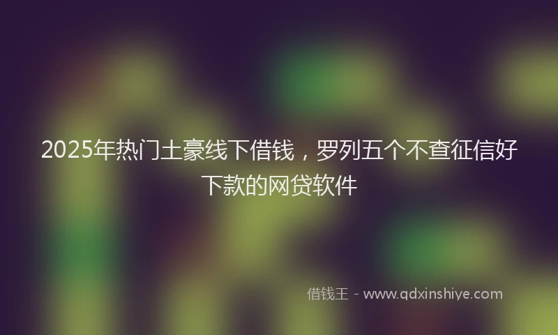 2025年热门土豪线下借钱，罗列五个不查征信好下款的网贷软件