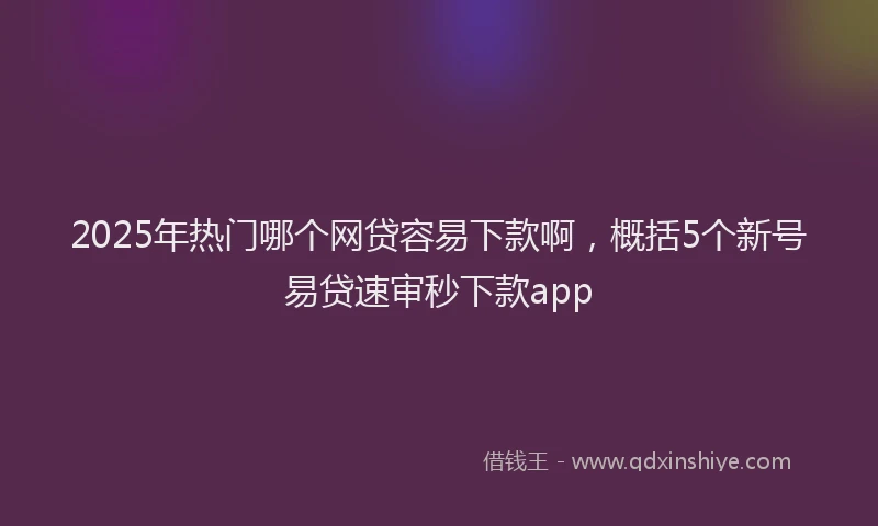 2025年热门哪个网贷容易下款啊，概括5个新号易贷速审秒下款app