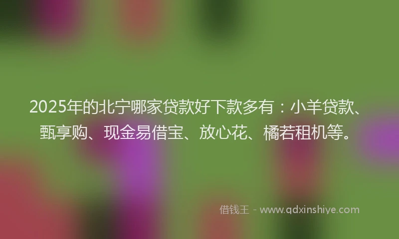 2025年的北宁哪家贷款好下款多有：小羊贷款、甄享购、现金易借宝、放心花、橘若租机等。