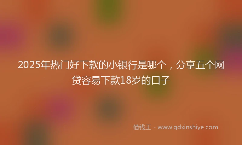 2025年热门好下款的小银行是哪个，分享五个网贷容易下款18岁的口子