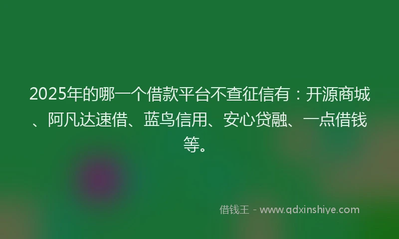 2025年的哪一个借款平台不查征信有：开源商城、阿凡达速借、蓝鸟信用、安心贷融、一点借钱等。