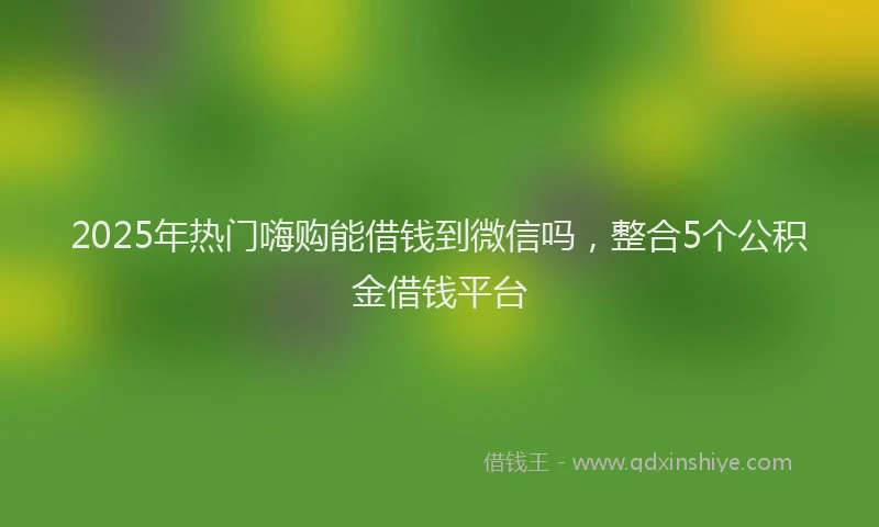 2025年热门嗨购能借钱到微信吗，整合5个公积金借钱平台