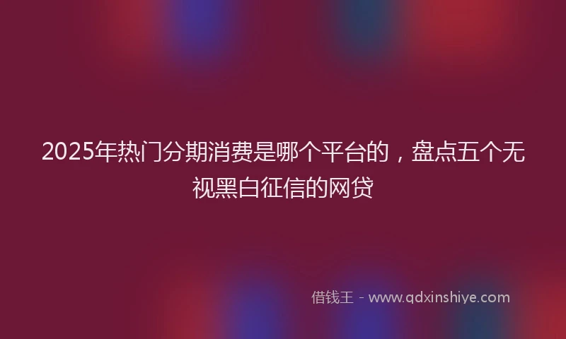2025年热门分期消费是哪个平台的，盘点五个无视黑白征信的网贷