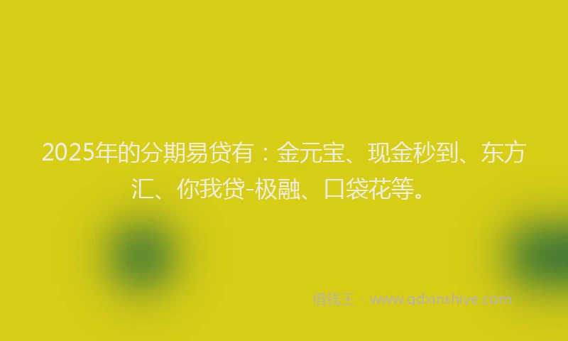 2025年的分期易贷有：金元宝、现金秒到、东方汇、你我贷-极融、口袋花等。