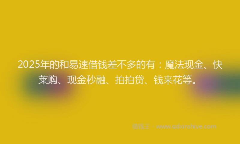 2025年的和易速借钱差不多的有：魔法现金、快莱购、现金秒融、拍拍贷、钱来花等。