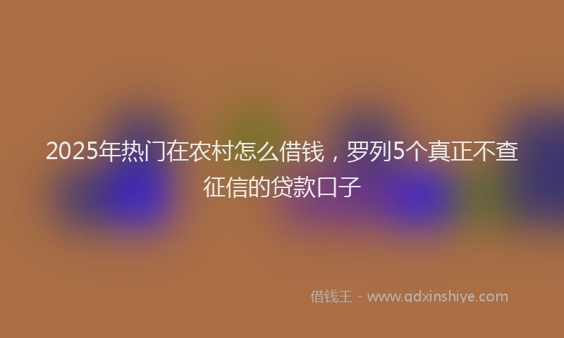 2025年热门在农村怎么借钱，罗列5个真正不查征信的贷款口子