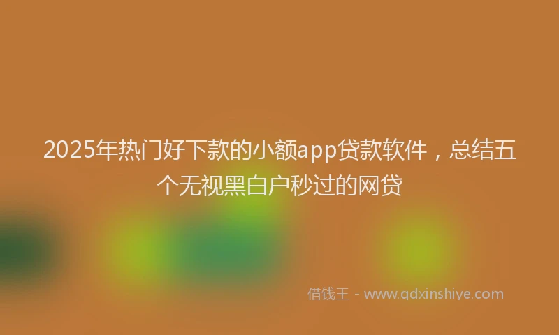 2025年热门好下款的小额app贷款软件，总结五个无视黑白户秒过的网贷
