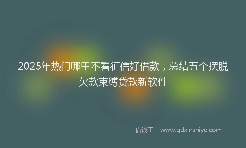 2025年热门哪里不看征信好借款，总结五个摆脱欠款束缚贷款新软件