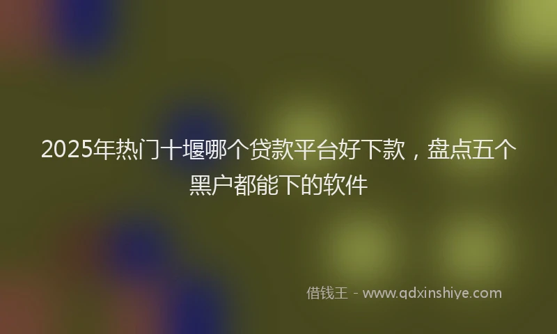 2025年热门十堰哪个贷款平台好下款，盘点五个黑户都能下的软件