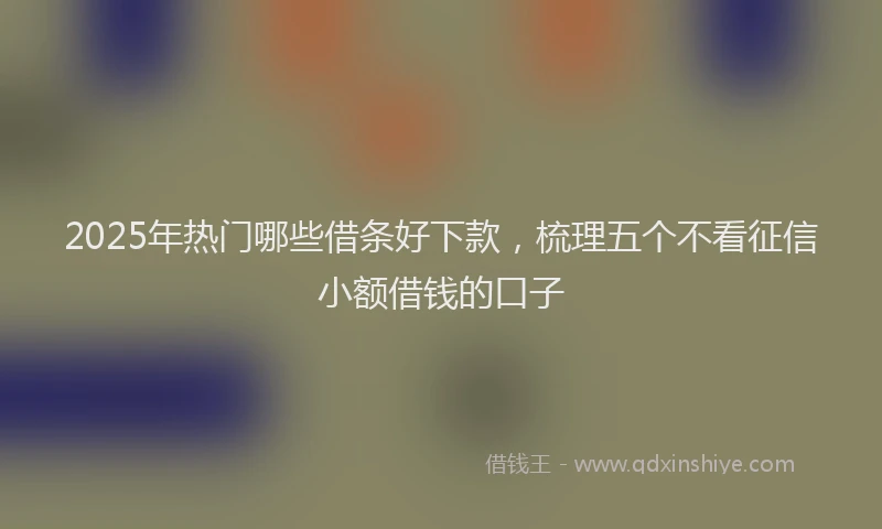 2025年热门哪些借条好下款，梳理五个不看征信小额借钱的口子