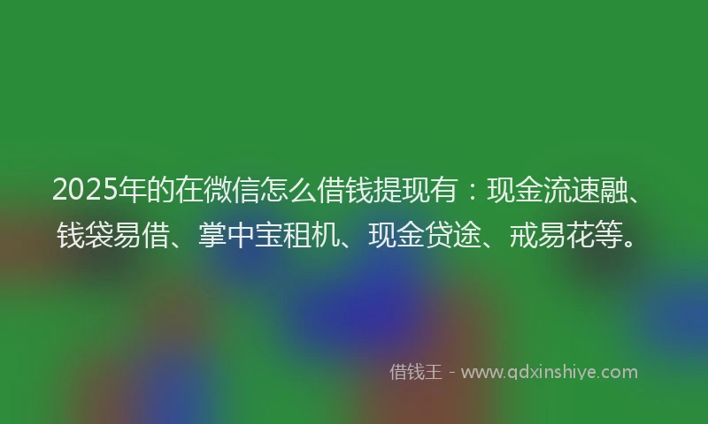 2025年的在微信怎么借钱提现有：现金流速融、钱袋易借、掌中宝租机、现金贷途、戒易花等。