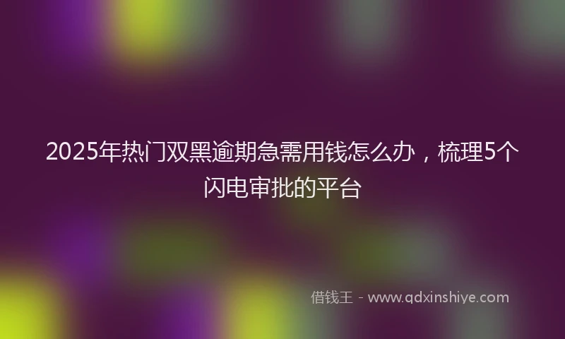 2025年热门双黑逾期急需用钱怎么办，梳理5个闪电审批的平台