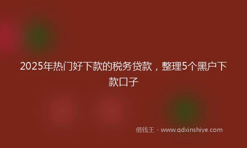 2025年热门好下款的税务贷款，整理5个黑户下款口子