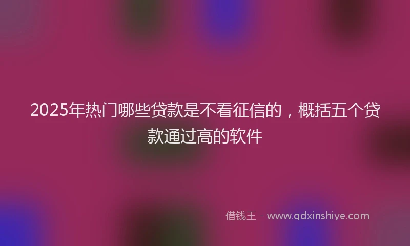 2025年热门哪些贷款是不看征信的，概括五个贷款通过高的软件