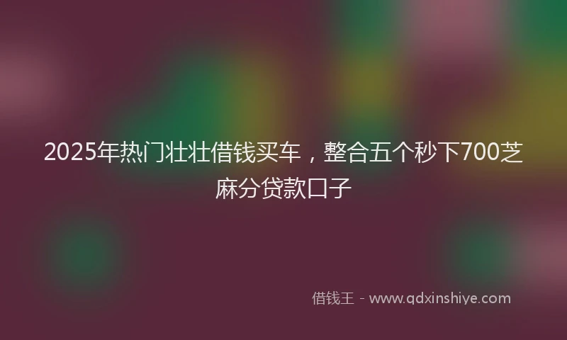 2025年热门壮壮借钱买车，整合五个秒下700芝麻分贷款口子