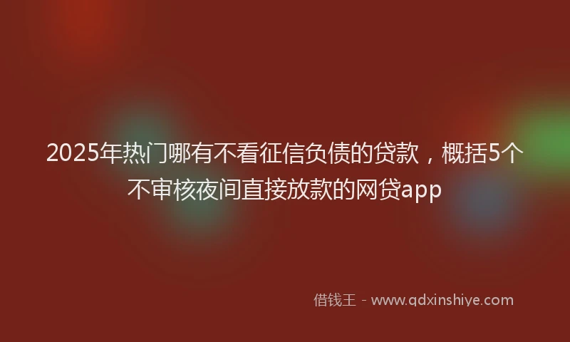 2025年热门哪有不看征信负债的贷款，概括5个不审核夜间直接放款的网贷app