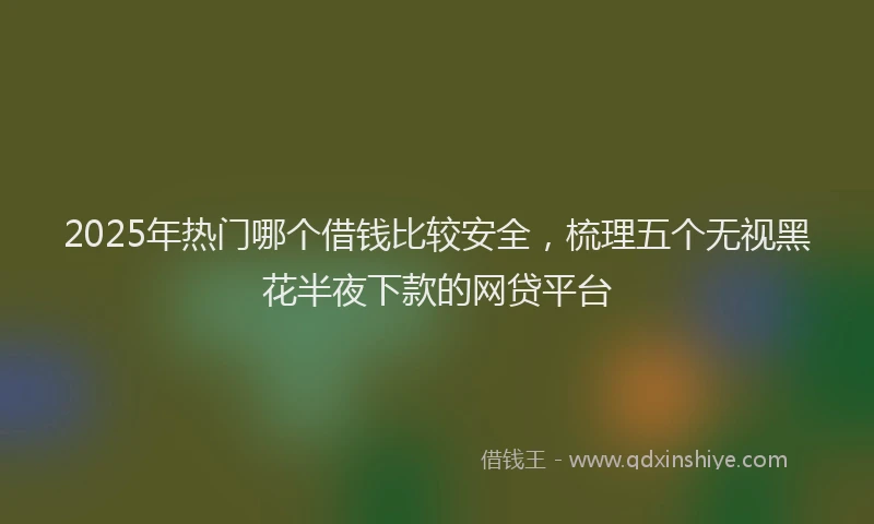 2025年热门哪个借钱比较安全，梳理五个无视黑花半夜下款的网贷平台