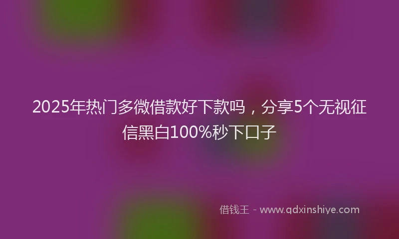 2025年热门多微借款好下款吗，分享5个无视征信黑白100%秒下口子