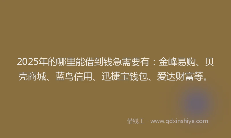 2025年的哪里能借到钱急需要有：金峰易购、贝壳商城、蓝鸟信用、迅捷宝钱包、爱达财富等。