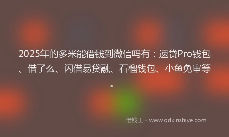 2025年的多米能借钱到微信吗有：速贷Pro钱包、借了么、闪借易贷融、石榴钱包、小鱼免审等。